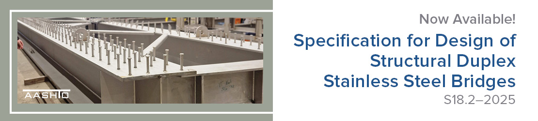 NSBADSB-1 Store Banner.jpg